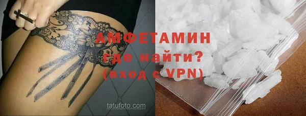 прущие грибы Гусев
