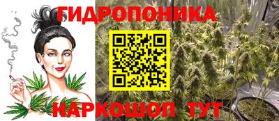 стафф Балаково