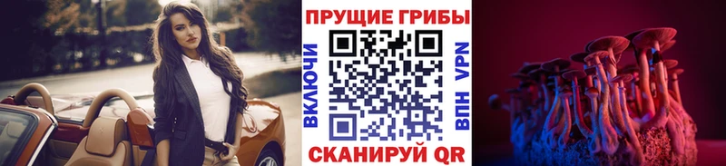 Галлюциногенные грибы Cubensis  где можно купить   Вязники 