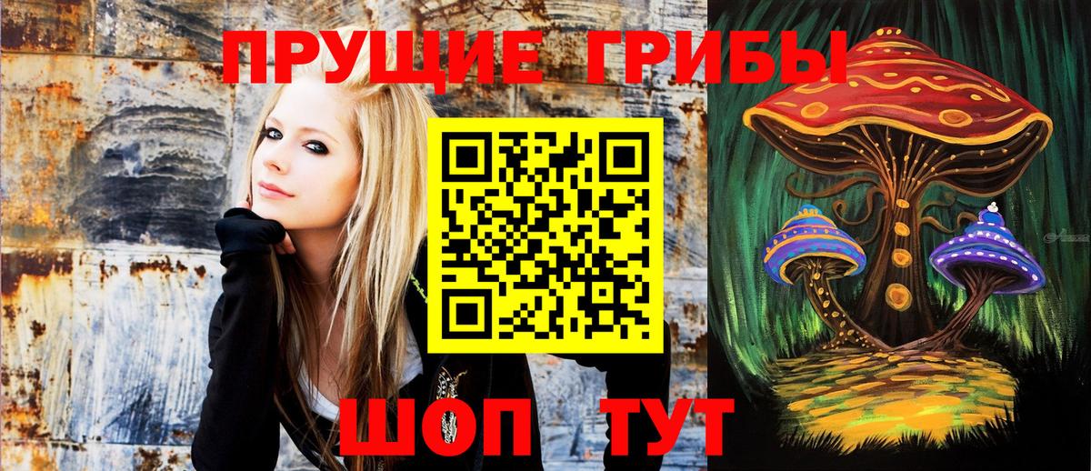 Галлюциногенные грибы прущие грибы  Псилоцибиновые грибы Psilocybine cubensis  Вход с VPN  Вязники 
