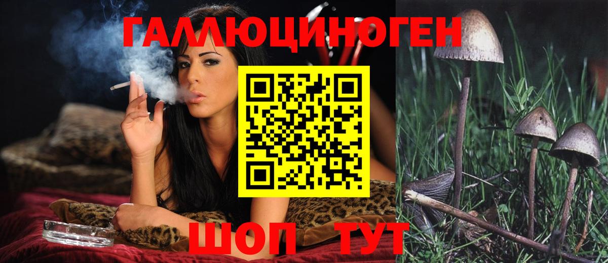 Галлюциногенные грибы MAGIC MUSHROOMS Вязники