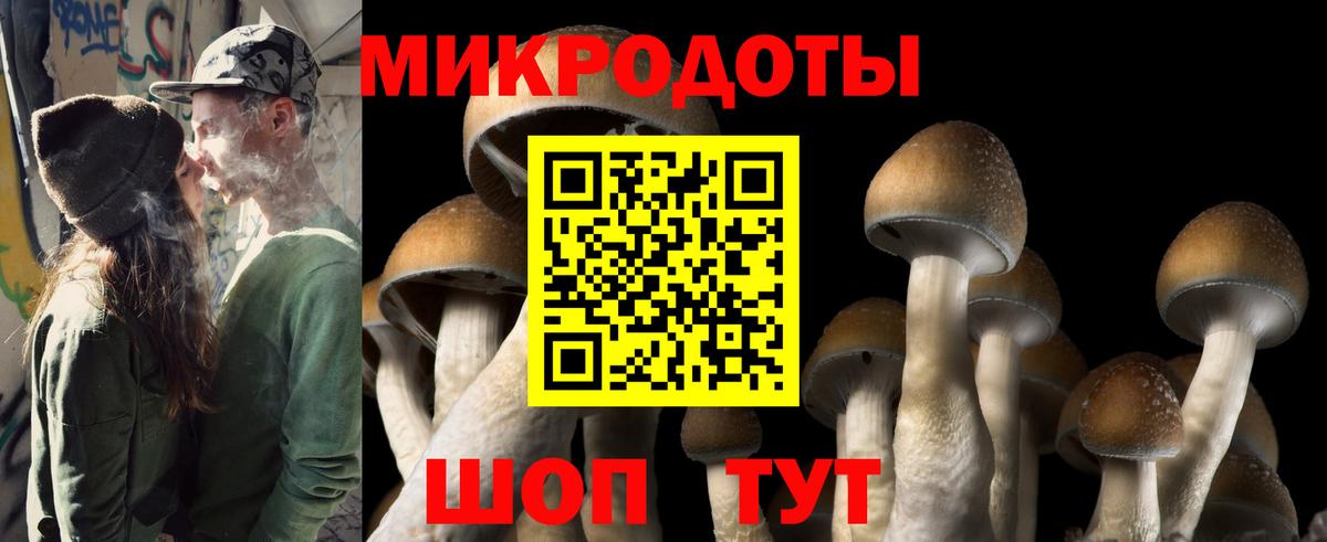 Псилоцибиновые грибы мицелий  Галлюциногенные грибы Psilocybe  Вязники 